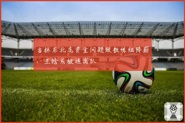 吉林东北虎资金问题致教练组降薪，王晗或被迫离队