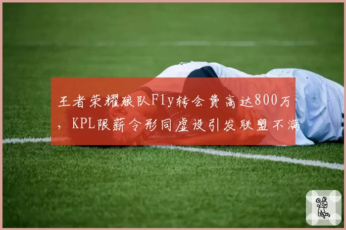 王者荣耀狼队Fly转会费高达800万，KPL限薪令形同虚设引发联盟不满