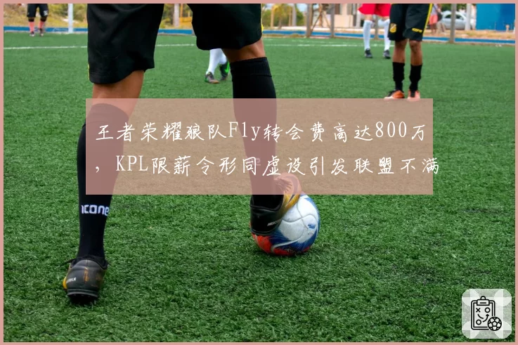 王者荣耀狼队Fly转会费高达800万，KPL限薪令形同虚设引发联盟不满
